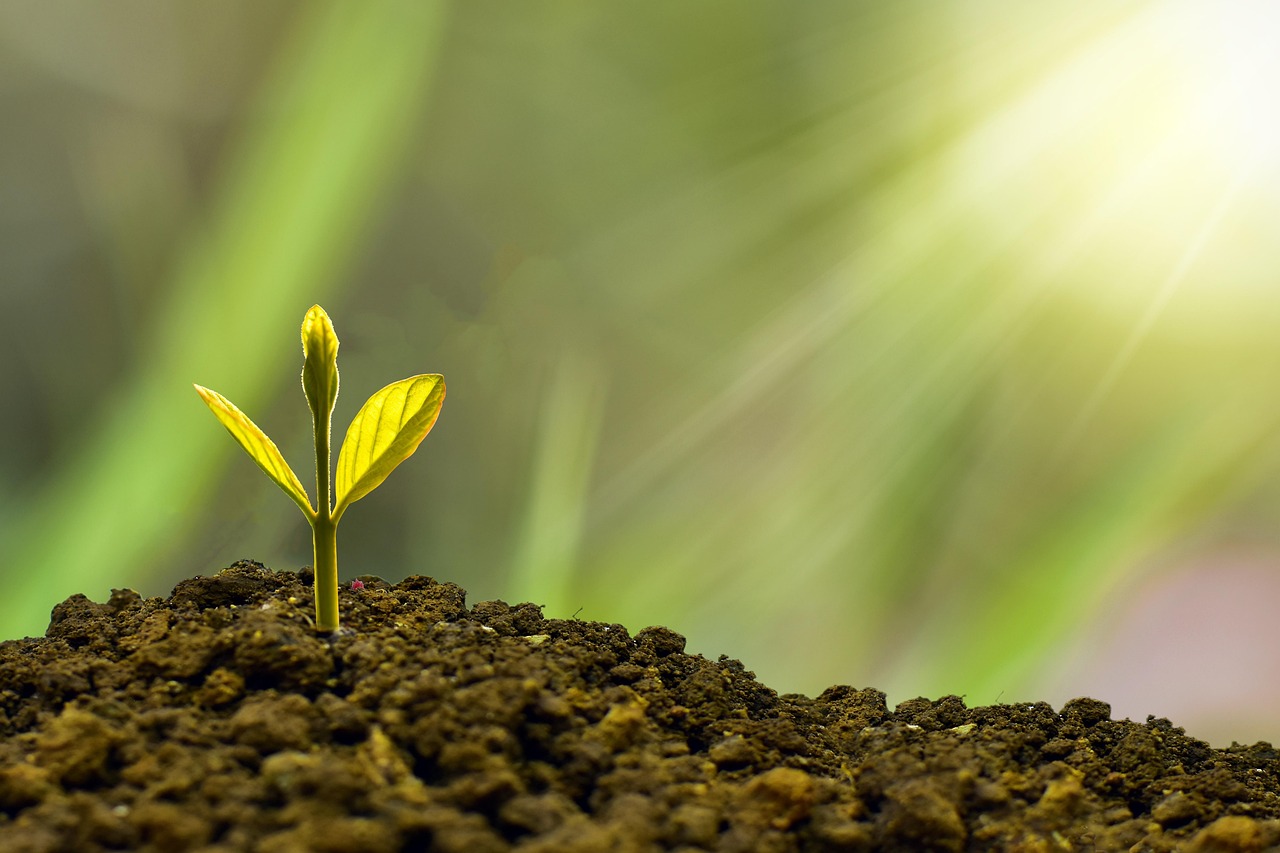 entdecken sie die besten investitionsmöglichkeiten und strategien, um ihr vermögen zu maximieren und finanzielle freiheit zu erlangen. erfahren sie mehr über aktien, immobilien und alternative anlagen.