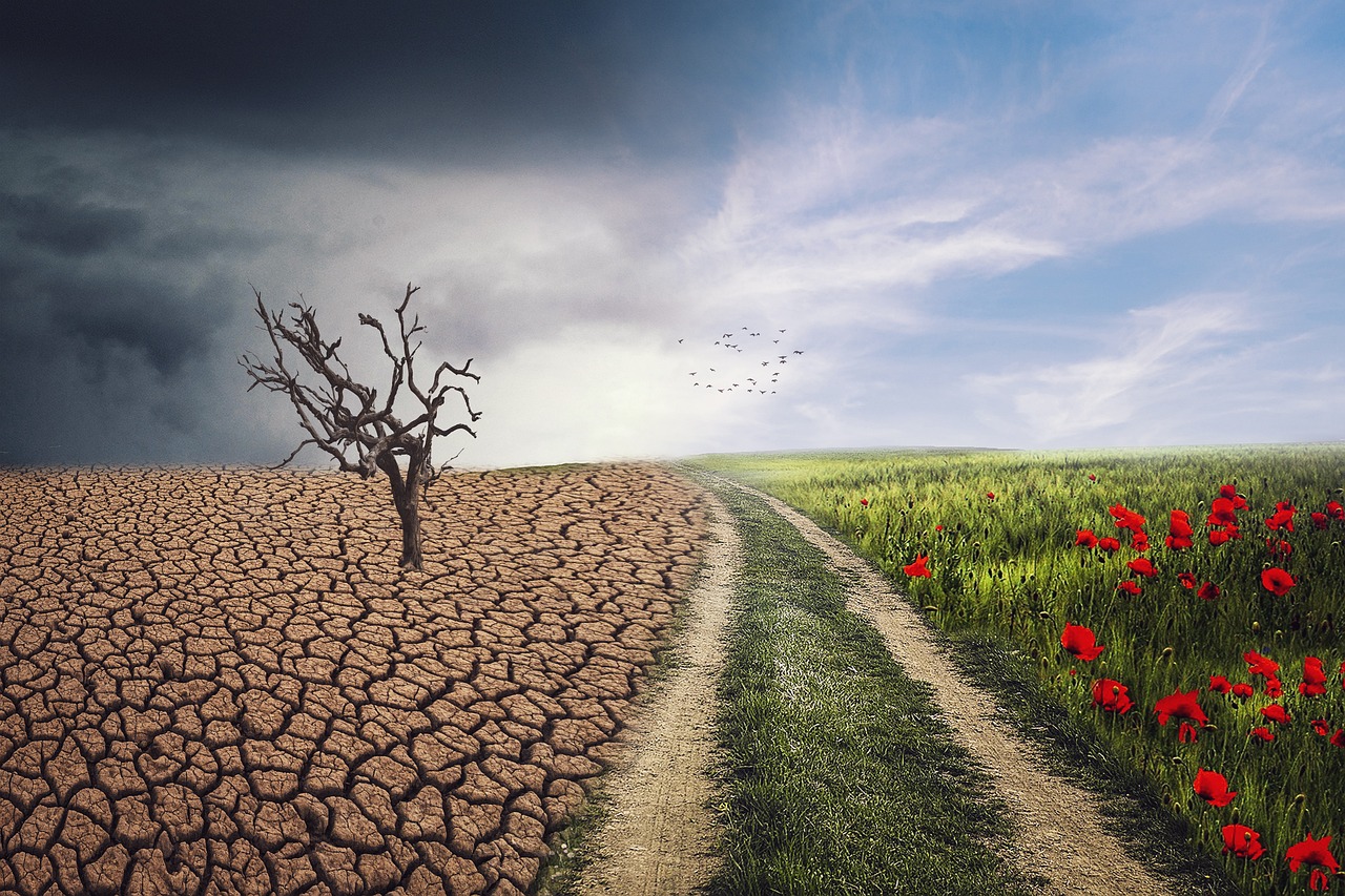 klimawandel ist eine der größten herausforderungen unserer zeit. erfahren sie mehr über die ursachen, auswirkungen und lösungen rund um den globalen klimawandel.
