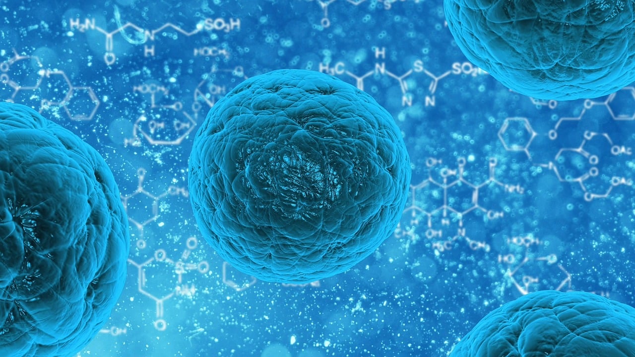 Wie wirkt sich künstliche Intelligenz auf unsere Gesundheitsversorgung aus?